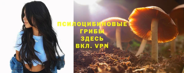 мяу мяу мука Нязепетровск