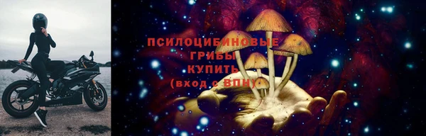 амф Няндома