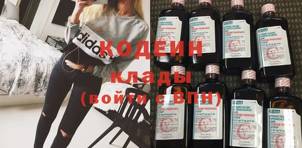 амф Няндома