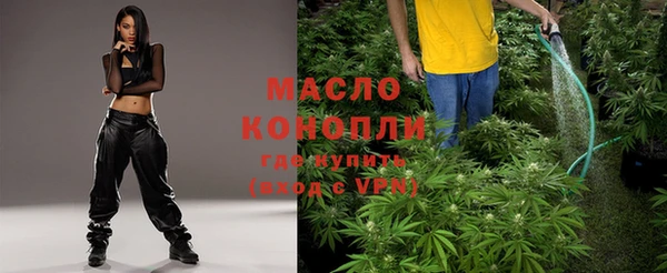 амф Няндома