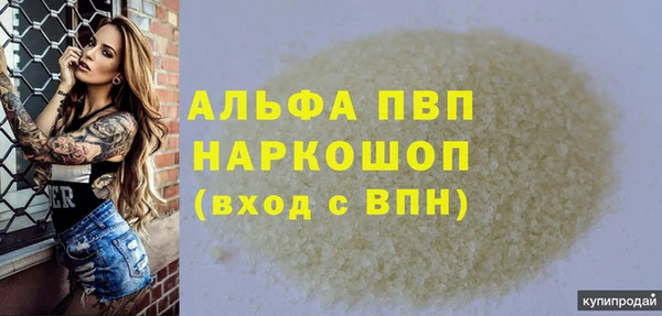 соль ск Новодвинск