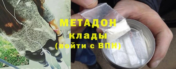 прущие грибы Снежинск