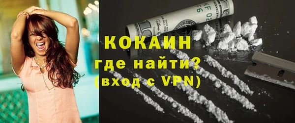 шишки Пестово