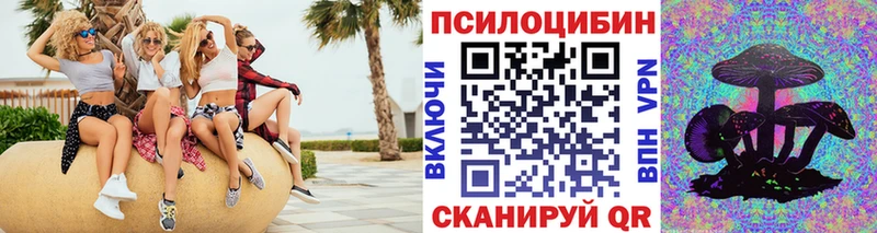 Псилоцибиновые грибы Psilocybe  где можно купить   Лакинск 